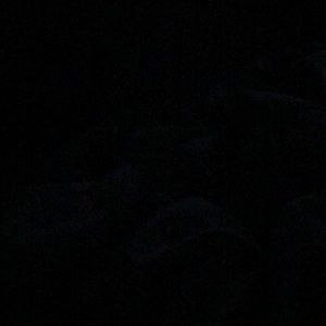 Meet your Posher, Alina